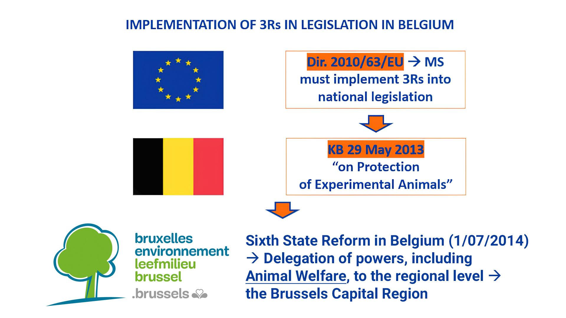 IC-3Rs Projects Supported By The Brussels Region