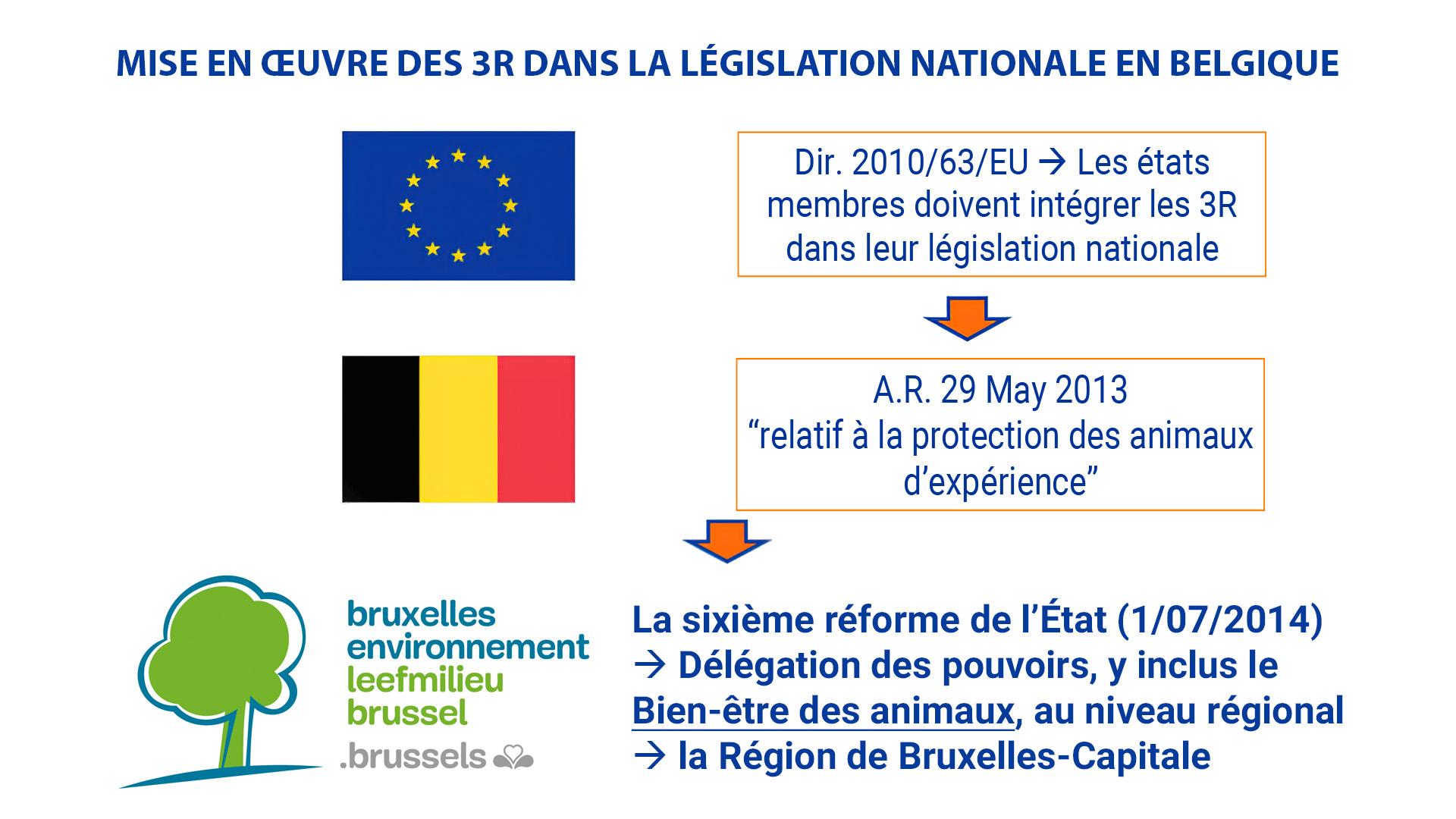 MISE EN ŒUVRE DES 3R DANS LA LÉGISLATION NATIONALE EN BELGIQUE